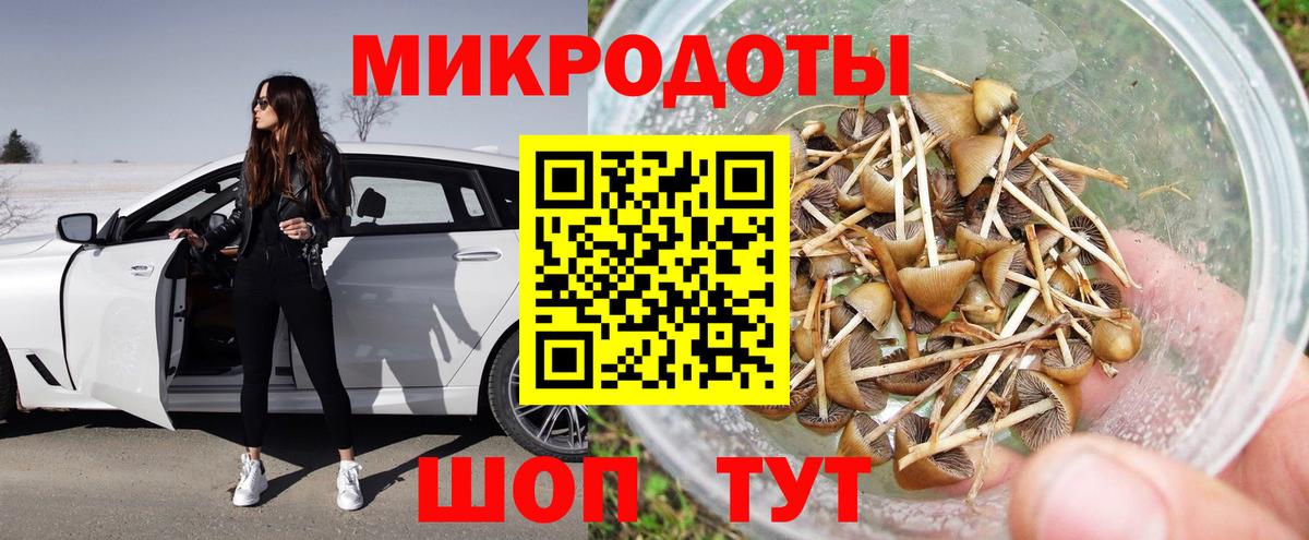 Галлюциногенные грибы Magic Shrooms Волхов