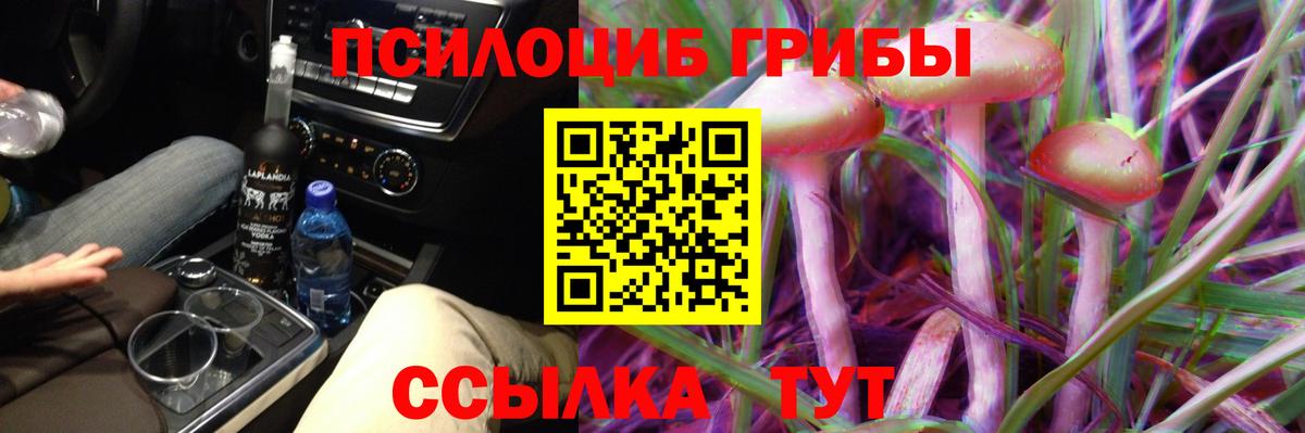 Псилоцибиновые грибы Magic Shrooms  Вход с VPN  Волхов  цена наркотик  Галлюциногенные грибы Cubensis 